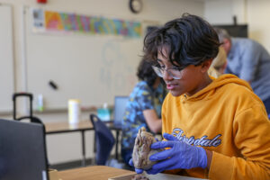 Student working on a dissection